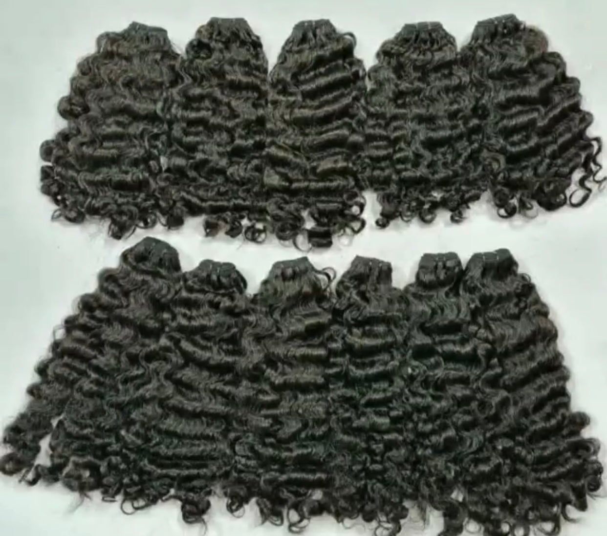Raw Burmese Curly