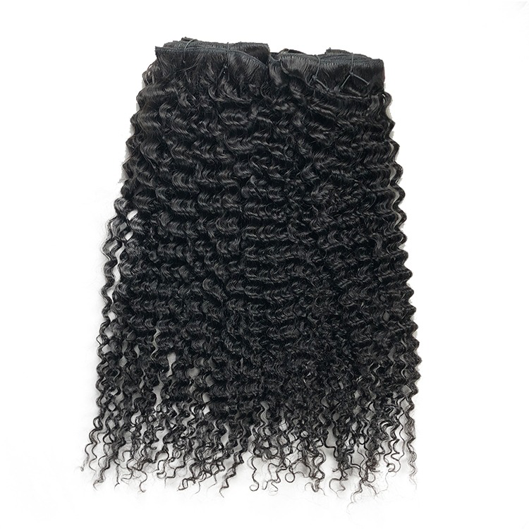 Kinky Curly Clip ins